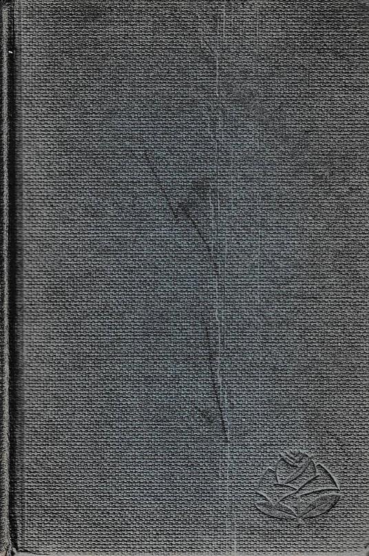 L'aviatore conteso - copertina