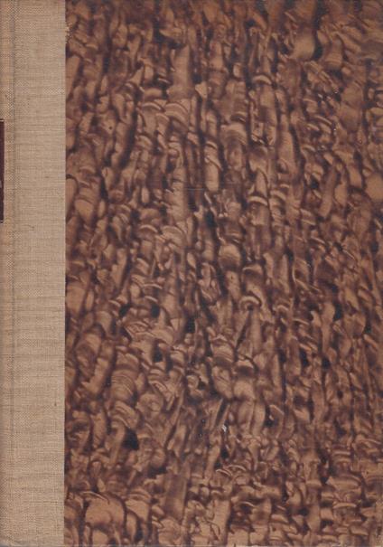 Con le colonne celeri dal Mareb allo Scioa - Cesco Tomaselli - copertina