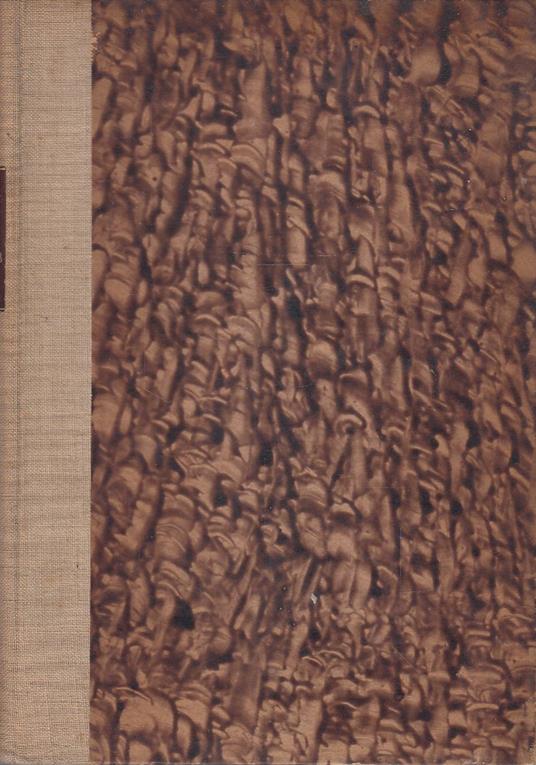 Con le colonne celeri dal Mareb allo Scioa - Cesco Tomaselli - copertina
