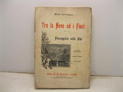 Tra la Neve ed i Fiori. Passeggiate sulle Alpi. Prima ristampa della Quinta Edizione riveduta, riccamente illustrata da 25 incisioni - Maria Savi-Lopez - copertina