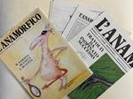 L' Anamorfico. Mensile di forme improbabili. Anno secondo, numero 1 - gennaio 1984