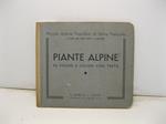 Piante alpine. 96 figure a colori con testo