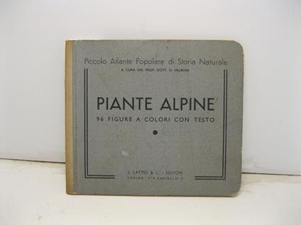 Piante alpine. 96 figure a colori con testo - copertina