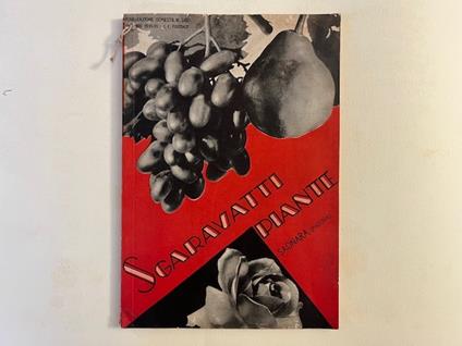 Stabilimento d'orticoltura Fratelli Sgaravatti piante. Catalogo generale autunno 1933-primavera 1934 - copertina