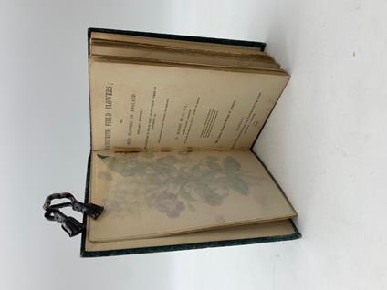 Favourite Field Flowers or Wild Flowers of England Popularly Described - copertina