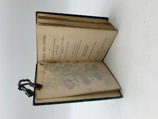 Favourite Field Flowers or Wild Flowers of England Popularly Described - copertina