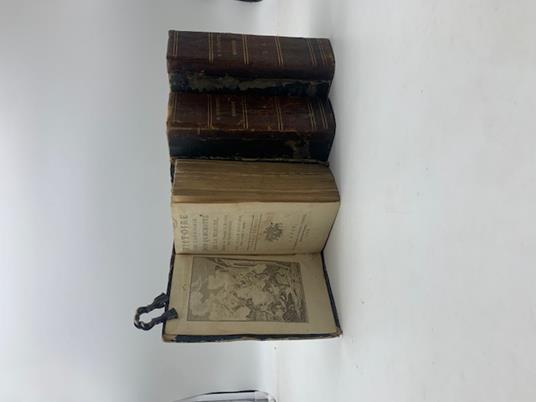 Histoire de l'admirable Don Quichotte de la Manche. Tome premier (-sixieme) - copertina