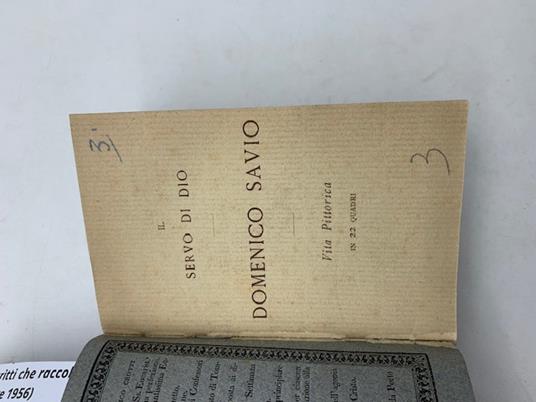 Il servo di Dio Domenico Savio. Vita pittorica in 22 quadri - copertina