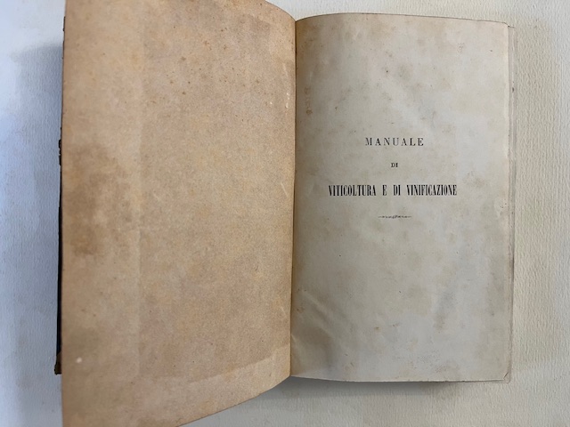Libreria Coenobium