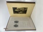 La fotografia artistica. Revue Internationale illustree. IV annee, 1907