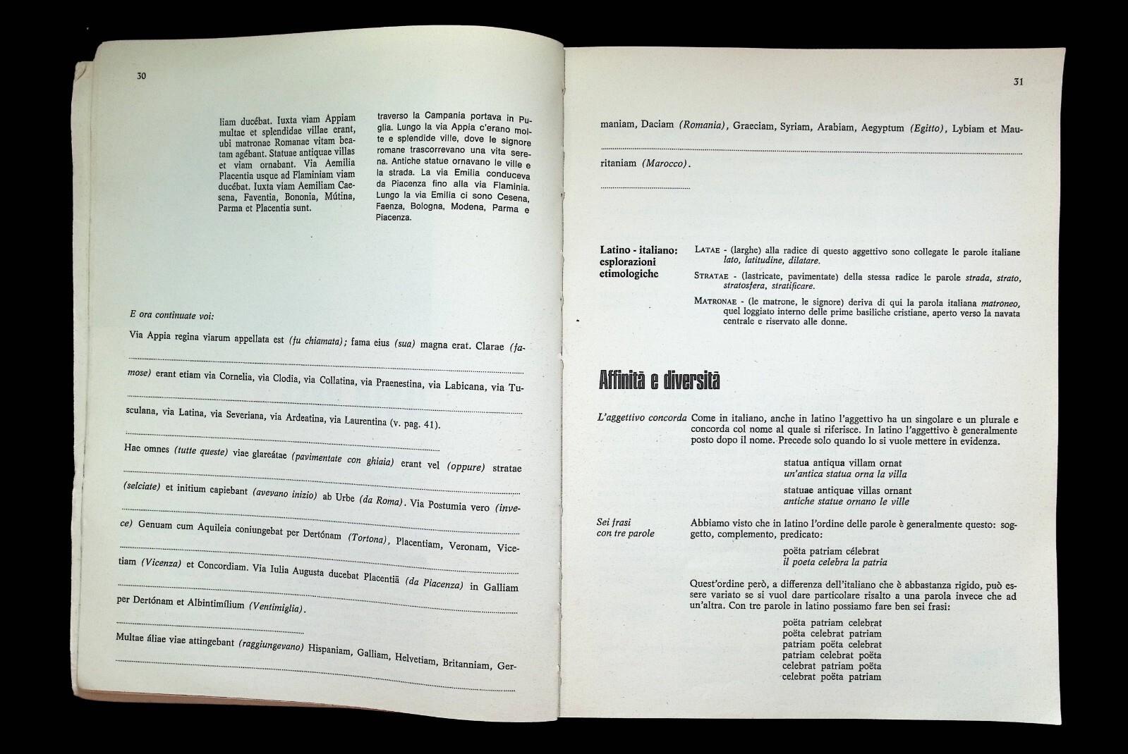 Latino Lingua Viva Libro Pittano Codrignani ED Scolastiche Media Mondadori 1977