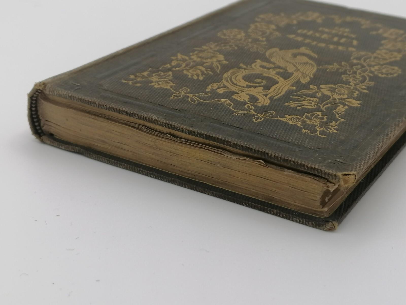 Les Petits Oiseaux Des Artistes Libro Antico Louise Leneveux Livre 1856