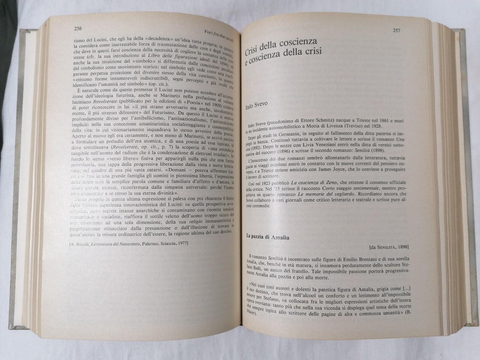 Libro IL NOVECENTO cultura letteratura società Getto Solari Minerva Italica