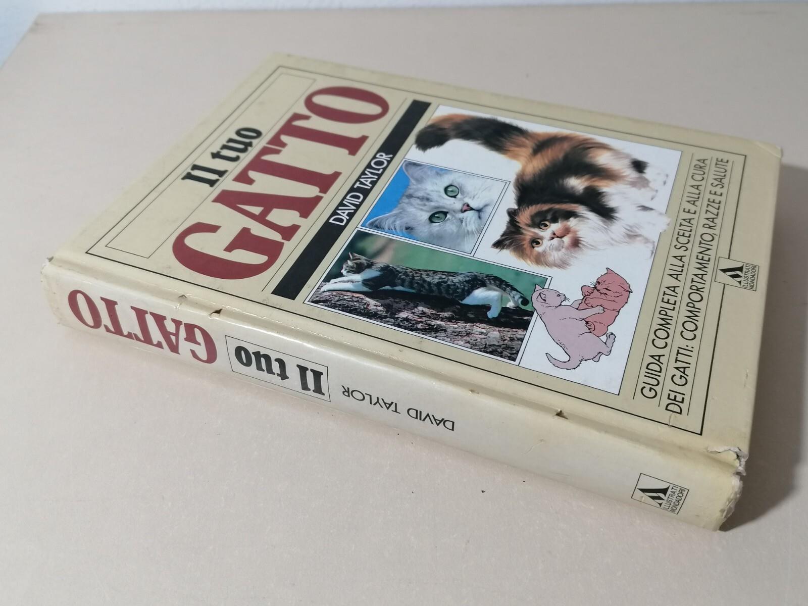 Il Tuo Gatto