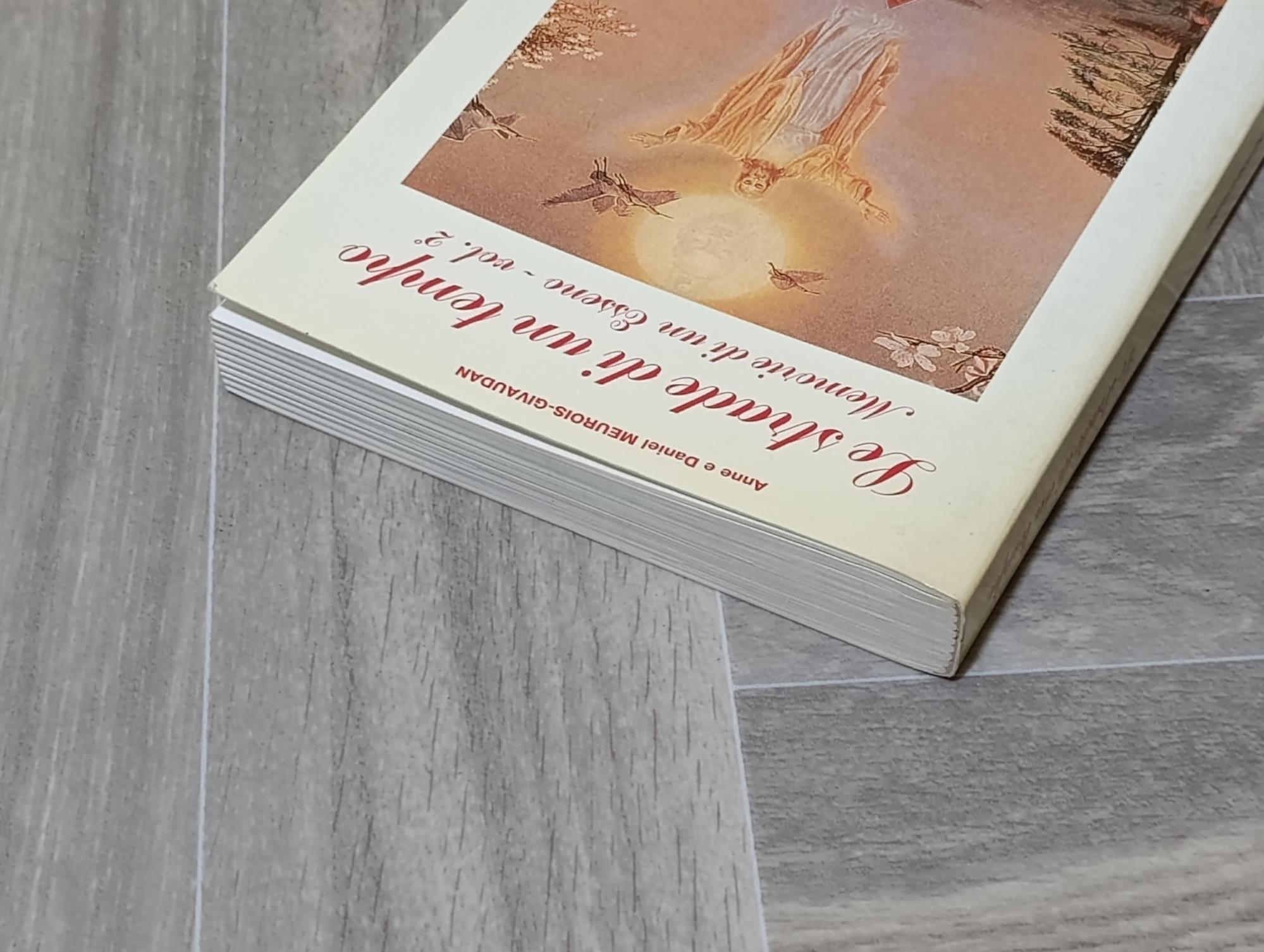 Le strade di un tempo. Memorie di un Esseno - vol. 2^