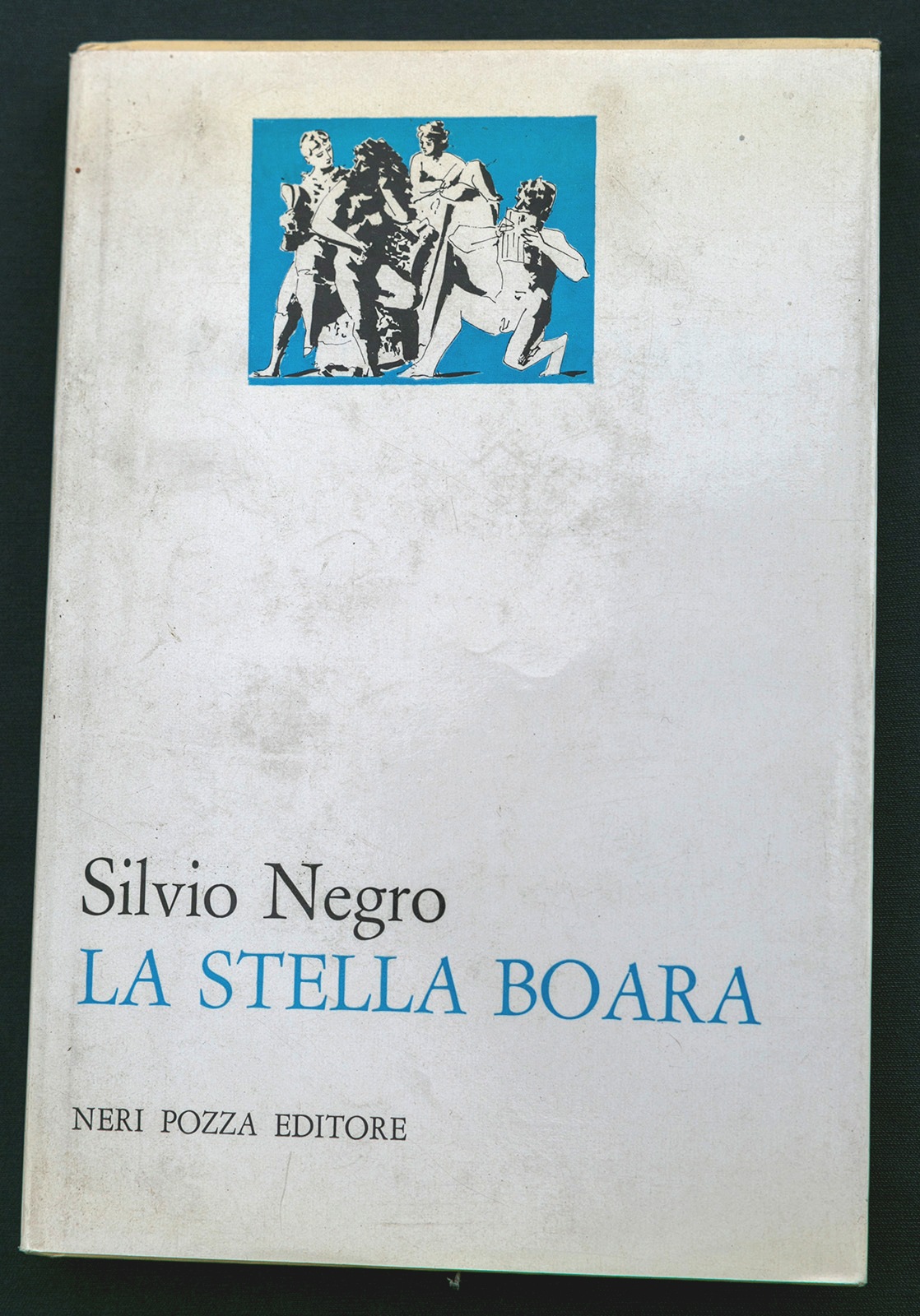 Libreria Trippini Sergio