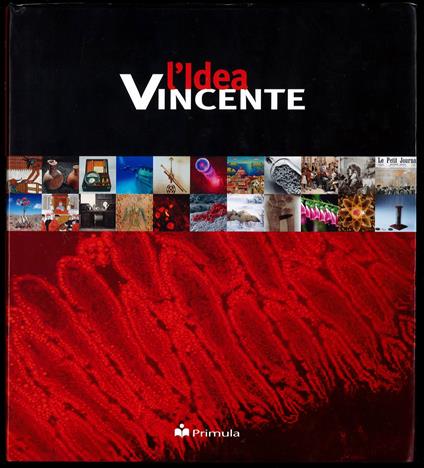 L'idea vincente - Alfonso Iudice - copertina