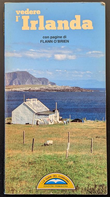 Vedere l'Irlanda - copertina