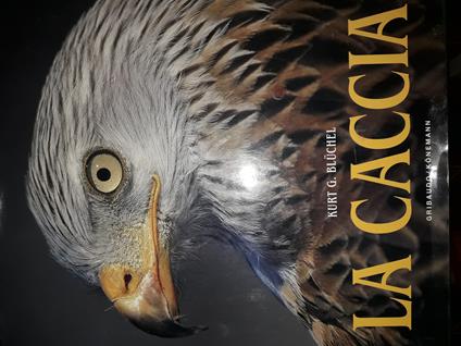 La caccia - Kurt G. Bluchel - copertina