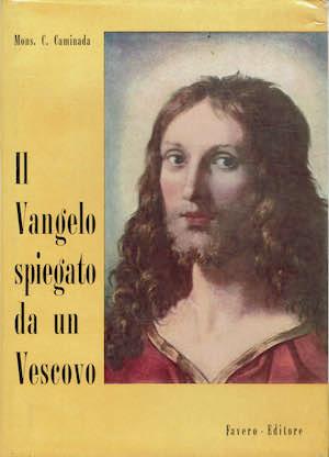 Il Vangelo spiegato da un Vescovo - copertina