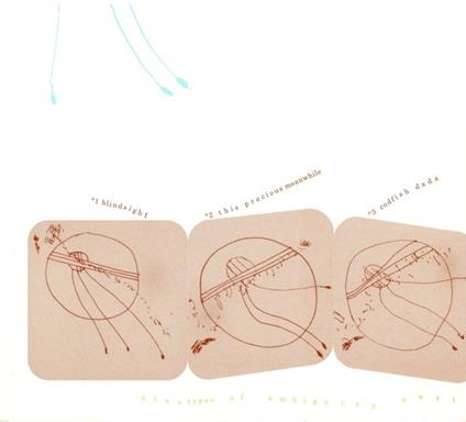 Nine Types Of Ambiguity - CD Audio di Vert