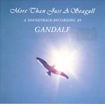More Than Just A Seagull