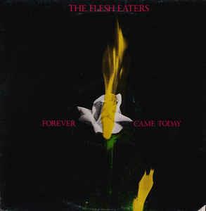 Forever Came Today - Vinile LP di Flesh Eaters