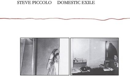 Domestic Exile - Vinile LP di Steve Piccolo
