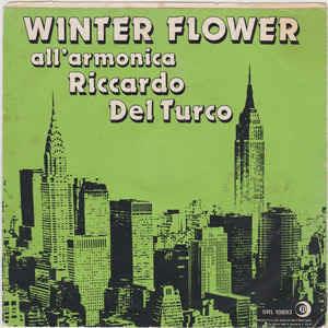 Winter Flower - Vinile 7'' di Riccardo Del Turco