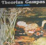Theorius Campus