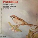 Passero (Passer Italiae)