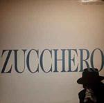 Zucchero