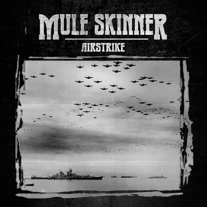 Airstrike - CD Audio di Mule Skinner