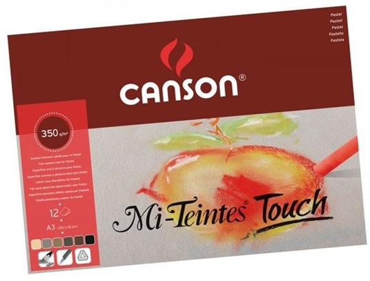 Canson Blocco A3 Mi-Teintes Touch X Past.gr 355 Colori Assortiti