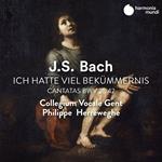 Avevo una grande afflizione (Ich hatte viel Bekümmernis). Cantate BWV 21, 42