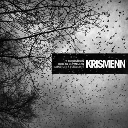 S'habituer à l'obscurité - CD Audio di Krismenn