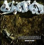 Girano le pale - CD Audio di Folkabbestia