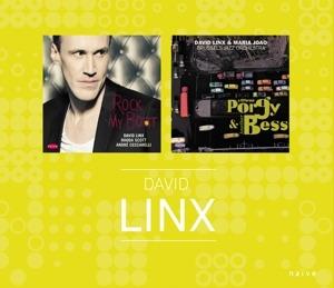 Rock My Boat - A Different Porg & Another Bess - CD Audio di David Linx