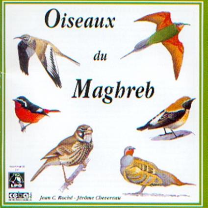 Sound Effects. Vogles - Oiseaux Du Maghreb - CD Audio