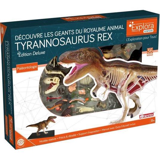 MGM - Explora - Paleontologia T-REX - Esperimento scientifico