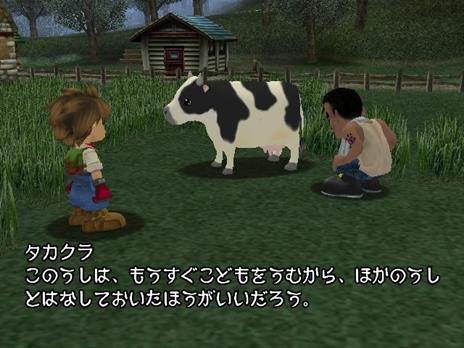 Harvest Moon: A Wonderful Life - 9