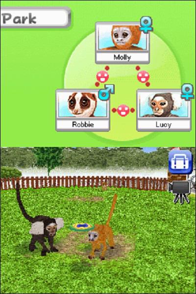 Petz. My Monkey Family - 4