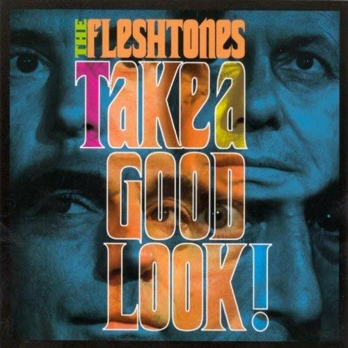 Take a Good Look ! - CD Audio di Fleshtones
