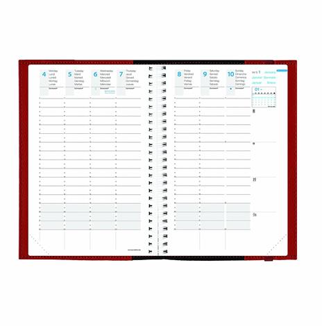 Agenda settimanale 2023, Quo Vadis, 13 mesi, TIME&LIFE LARGE, con rubrica ML, rosso, con elastico - 16 x 24 cm - 8