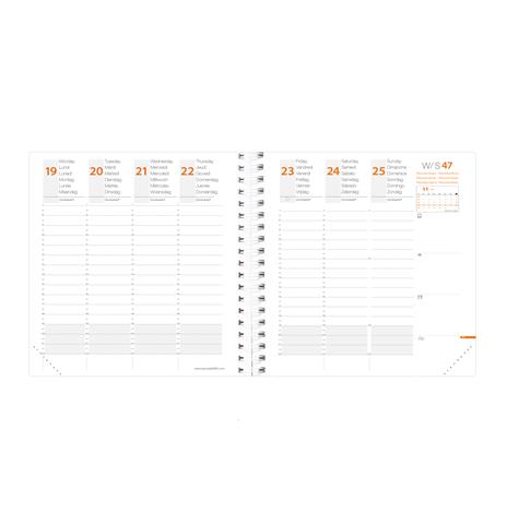 Agenda settimanale 2026, Quo Vadis, 13 mesi, Time&Life MEDIUM, con rubrica, rosa cangiante, con elastico - 16 x 16 cm  - 6