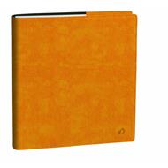 Agenda Settimanale Quo Vadis 2027, 13 mesi, Esecutivo, con rubrica, italiano, Roma giallo zafferano - 16 x 16 cm