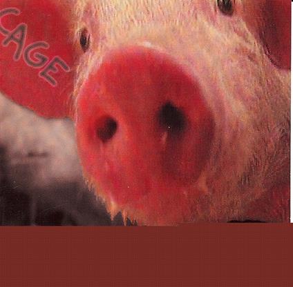 Cage - CD Audio di Cage