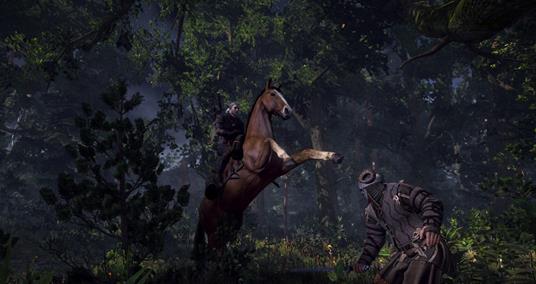 BANDAI NAMCO Entertainment The Witcher 3: Wild Hunt Game of the Year Edition, Xbox One - 2