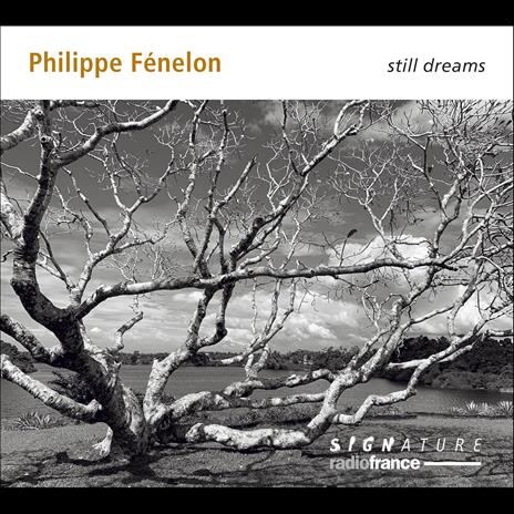 Still Dreams - CD Audio di Philippe Fénelon