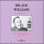 Baby Please Don't go - CD Audio di Big Joe Williams